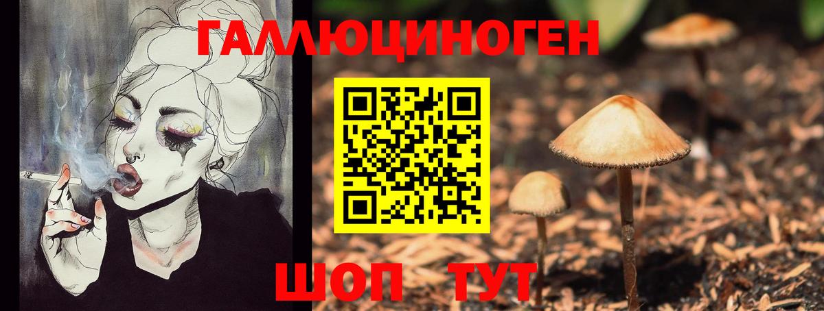 Псилоцибиновые грибы прущие грибы  Вход с VPN  Мариинск 